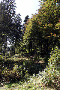 Herbstidylle am Belchen