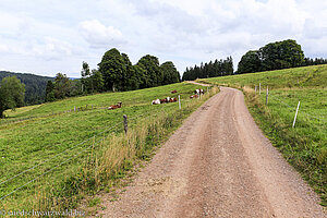 Wanderweg nahe Häuslebauer