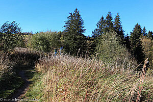 Wanderweg zur Kandelquelle