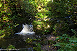 Wanderung durch die Ravennaschlucht