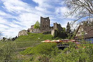 Blick auf die Ruine Schauenburg