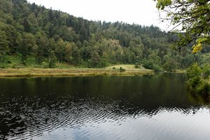 Naturschutzgebiet Nonnenmattweiher