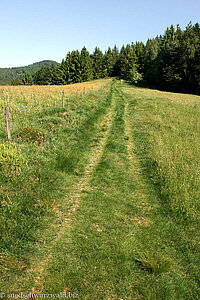 Wanderweg von der Passhöhe Hau zum Böllener Eck