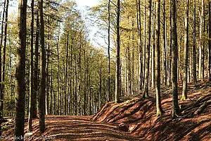 Wanderweg von der Gummenhofhütte zur Thomashütte