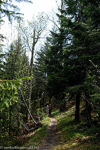 Wanderweg von Rinken zur Zastlerhütte