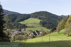 Blick über das Ebersbacher Tal bei Gutach