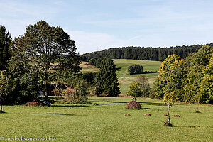 Landschaft bei Großherrischwand