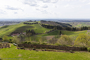 Weinberge unterhalb Schloss Staufenberg