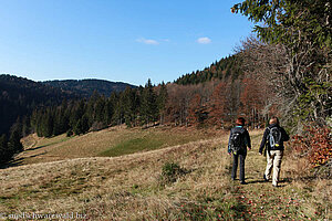 Wanderweg vom Kreuzweg nach Sirnitz