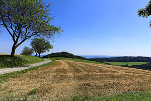 Abgeerntetes Feld am Rosenwanderweg