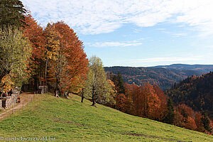 Wanderweg zwischen den Zweribachwasserfällen und der Platte