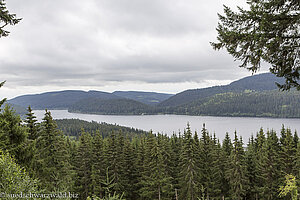 Ausblick vom Jägersteig auf den Schluchsee