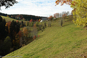 Schwarzwaldlandschaft unterhalb der Platte