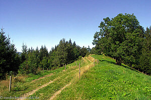 auf dem Nessellachen