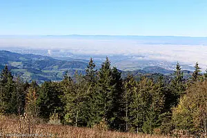 Aussicht vom Kandel über das Nebelmeer zu den Vogesen