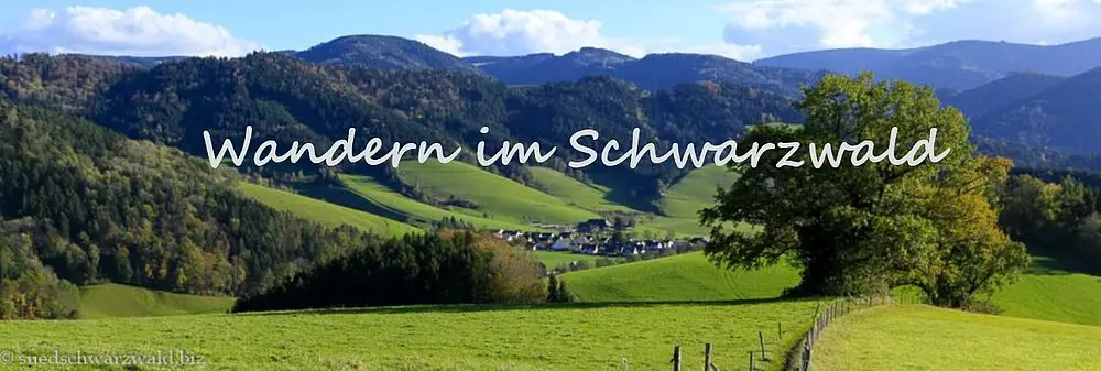 Wandern im Schwarzwald Wandern im Schwarzwald