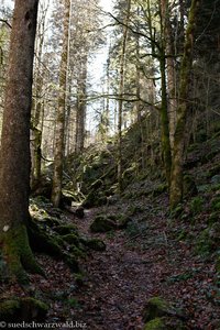 Wanderweg am Sägebach