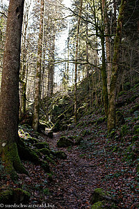 Wanderweg am Sägebach