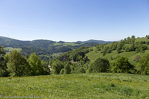 Aussicht zum Wegscheidekopf und Wiesental