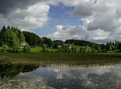 5. Etappe nach Todtmoos