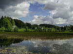 Der Klosterweiher in Dachsberg