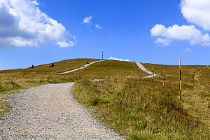 Auf dem Weg zum Feldberg-Gipfel