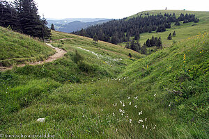 an der linken Seite verläuft der Emil-Thoma-Weg