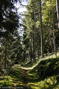 Murgtalpfad beim Giersbacher Moor