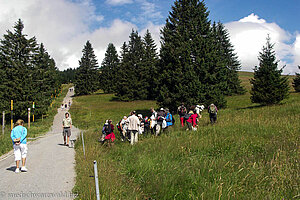 Geführte Tour über die Feldbergwiesen.