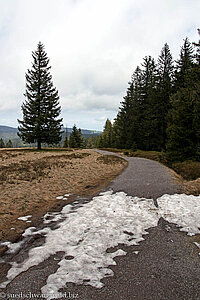 Schneereste auf dem Weg