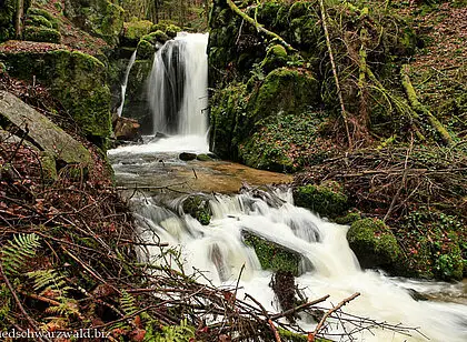 Wanderung zum Höllbachwasserfall