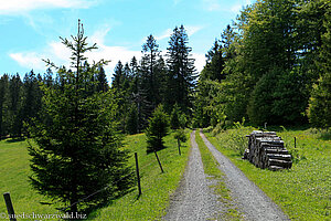 Westweg bei Bernau im Schwarzwald