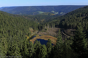 Aussicht vom Huzenbacher Seeblick