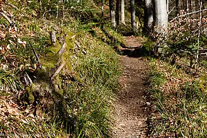 Jockisebenweg