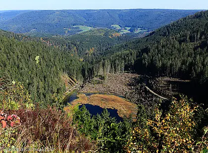 Wanderung zum Huzenbacher See