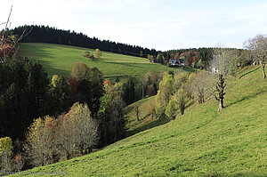 Abschnitt des Steigs zwischen Platte und Zweribach