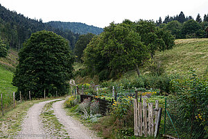 Wanderweg von Vorderheubronn zum Nonnenmattweiher
