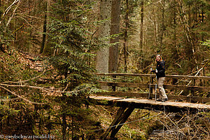 Brücke in der Lotenbachklamm