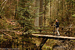 eine der Brücken in der Lotenbachklamm