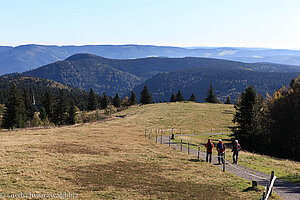 Wanderweg am Kandel