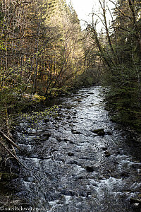 Wutach bei Blumegg