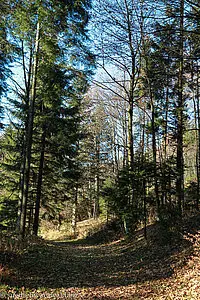 Kreuzweg zwischen Haldenhof und Sirnitz